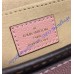 Louis Vuitton Damier Ebene Crossbody Venus N40147