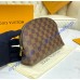 Louis Vuitton Damier Ebene Cosmetic Pouch GM N23345