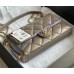 Chanel 2021 SS Flap bag C2563-gray