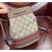 Gucci Ophidia GG Mini Bucket Bag GU550620-brown