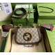 Gucci Blondie Mini Bag GU698643CA-brown