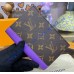 Louis Vuitton Passport Cover M28268