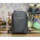 Louis Vuitton Avenue Backpack N40499