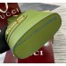 Gucci 73 Small bucket bag GU833665L-green
