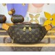 Louis Vuitton Rush Bumbag M14019