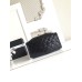 Chanel 25 Small Handbag C5293GA-black