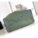 Chanel 25 Medium Handbag C5311A-green