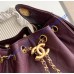 Chanel 25 Mini Handbag C5631A-wine