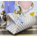 Louis Vuitton Speedy Soft 30 N40908