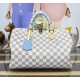 Louis Vuitton Speedy Soft 30 N40908