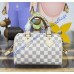 Louis Vuitton Speedy Bandoulière 20 N40950