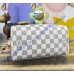 Louis Vuitton Speedy Bandoulière 20 N40950