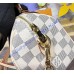 Louis Vuitton Speedy Bandoulière 20 N40950