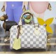 Louis Vuitton Speedy Bandoulière 20 N40950