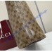 Gucci Tribeca large tote bag GU874745CR-brown