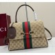 Gucci Paparazzo medium top handle bag GU875018-C-brown