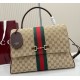 Gucci Paparazzo large top handle bag GU875019-C-brown