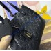 Louis Vuitton All In One PM M25858