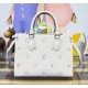 Louis Vuitton OnTheGo PM M29976