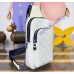 Louis Vuitton Avenue Slingbag PM M28397