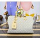 Louis Vuitton Speedy Soft 30 M28479