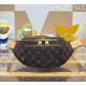 Louis Vuitton Rush Bumbag Silk Tech M2A452