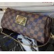 Louis Vuitton Damier Ebene Canvas Eva Clutch N55213