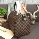 Louis Vuitton Damier Ebene Speedy 35 N41363