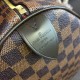 Louis Vuitton Damier Ebene Speedy 35 N41363