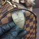 Louis Vuitton Damier Ebene Speedy 30 N41364