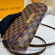 Louis Vuitton Damier Ebene Favorite MM N41129