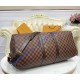 Louis Vuitton Damier Ebene Keepall 55 N41414