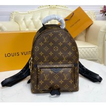 Louis Vuitton Monogram Palm Springs Backpack PM M44871