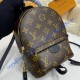 Louis Vuitton Monogram Mini Palm Springs Backpack M44873