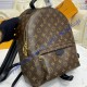 Louis Vuitton Monogram Palm Springs Backpack MM M44874