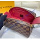 Louis Vuitton Damier Ebene Dopp Kit Toilet Pouch N40127-brown