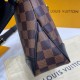 Louis Vuitton Damier Ebene Odeon PM N50064