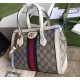Gucci Ophidia small GG tote bag GU547551CA-white