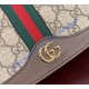 Gucci Ophidia GG Small Shoulder Bag GU601044