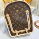 Louis Vuitton Monogram Canvas Dog Carrier 40 M42024