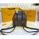 Louis Vuitton Monogram Canvas Montsouris PM M45515