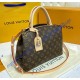 Louis Vuitton Monogram Canvas Petit Palais M45900