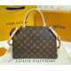 Louis Vuitton Monogram Canvas Petit Palais M45900