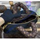 Louis Vuitton Speedy Bandouliere 25 M20973-black