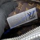 Louis Vuitton Speedy Bandouliere 25 M20973-silver