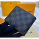 Louis Vuitton Damier Graphite Multiple Wallet N60895-black