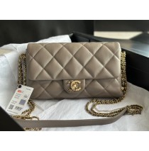 Chanel 2021 SS Flap bag C2563-gray