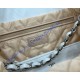 Chanel 22 Small Handbag C3260B-white