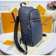Louis Vuitton Damier Graphite Michael Backpack N45279