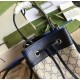 Gucci Ophidia GG Small Bucket Bag GU550621CA-blue